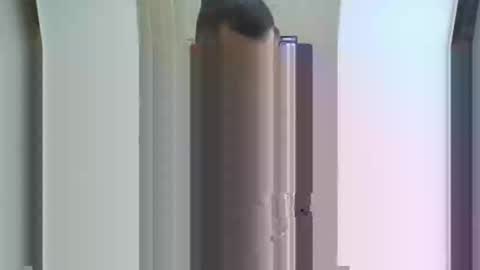 Snapshot of 0trkshmnhot0 chatting on March 1, 2025, 9:51 am trkshmn online show from March 1, 2025, 9:51 am