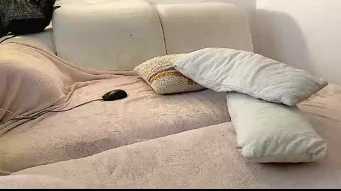 TORCH online show from January 28, 2025, 7:11 am