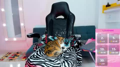 Juli online show from February 3, 2026, 6:02 pm