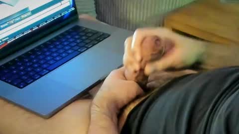 ACHTINCH online show from January 15, 2026, 7:24 am