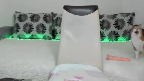 Alexa online show from January 11, 2025, 11:23 am