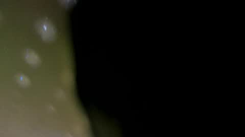 alotta_titties online show from February 5, 2026, 8:41 am