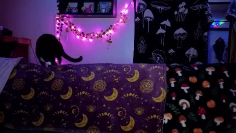 Snapshot of amburlicious chatting on February 22, 2026, 4:02 am amburlicious online show from February 22, 2026, 4:02 am