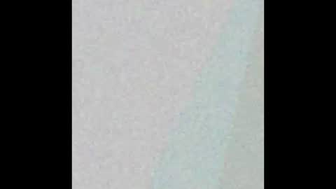 Brenda online show from March 1, 2025, 4:04 am