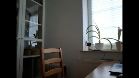 Snapshot of andypsilon88 chatting on January 27, 2025, 8:29 am ShortyfromS online show from January 27, 2025, 8:29 am