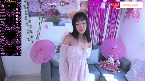 Snapshot of aneko_morii chatting on December 13, 2024, 5:10 pm online show from December 13, 2024, 5:10 pm