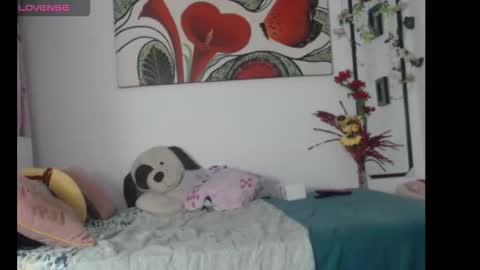 Anii Mantilla online show from November 26, 2025, 9:21 am