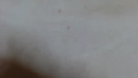 Ariana lvarez online show from February 2, 2025, 4:15 am