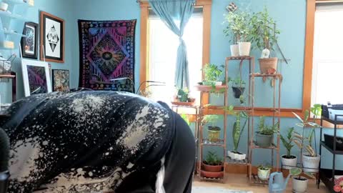 Snapshot of artiepaints chatting on December 22, 2024, 3:22 pm Artie Paints online show from December 22, 2024, 3:22 pm