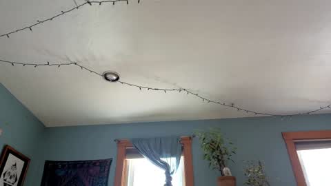 Snapshot of artiepaints chatting on January 3, 2025, 4:27 pm Artie Paints online show from January 3, 2025, 4:27 pm