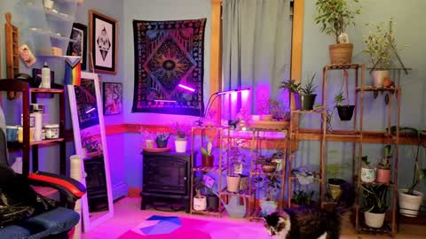 Snapshot of artiepaints chatting on January 4, 2025, 12:16 am Artie Paints online show from January 4, 2025, 12:16 am