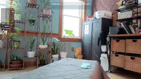 Snapshot of artiepaints chatting on February 10, 2025, 5:30 pm Artie Paints online show from February 10, 2025, 5:30 pm