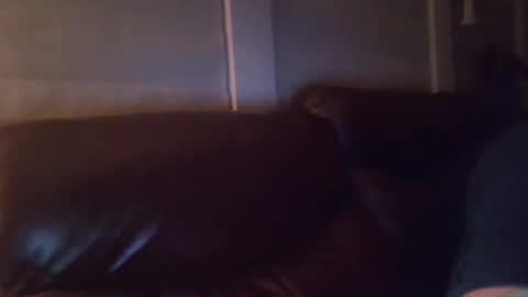 bake66999 online show from February 5, 2026, 6:18 am