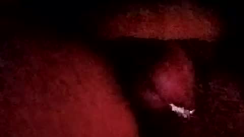 Snapshot of bcfalcon69 chatting on January 19, 2026, 6:06 am bcfalcon69 online show from January 19, 2026, 6:06 am