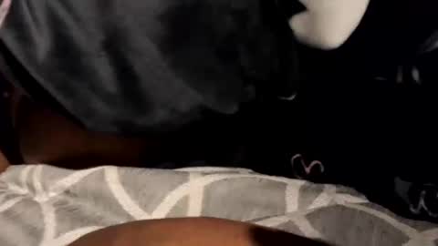 BeastyAdamsTgExotic online show from February 15, 2025, 10:33 am