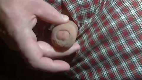  Reservoir Dogs online show from January 12, 2026, 1:00 am