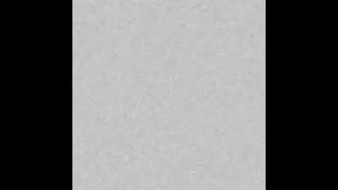 Bella online show from February 10, 2026, 11:14 am