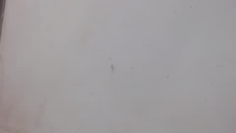 Bergon77 online show from February 1, 2025, 1:02 am