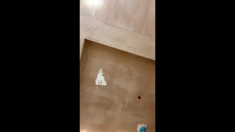 Snapshot of bigpoppa69999 chatting on January 16, 2025, 2:30 pm bigpoppa69999 online show from January 16, 2025, 2:30 pm