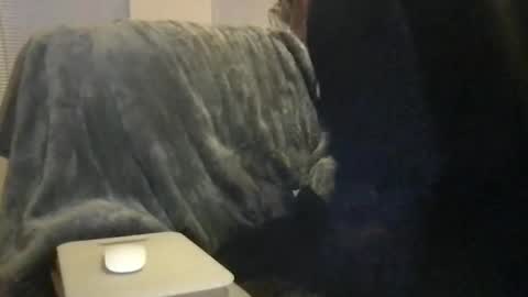 Snapshot of bigwhitedickdaddy69 chatting on February 16, 2026, 11:50 am Bigwhitedickdaddy and BabyCakes online show from February 16, 2026, 11:50 am