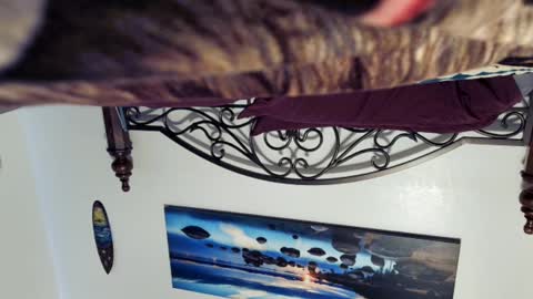 Snapshot of billy1850 chatting on March 2, 2025, 8:40 pm Starlyte online show from March 2, 2025, 8:40 pm