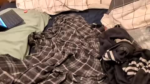 Snapshot of boiwithpussy chatting on February 16, 2025, 1:36 am boiwithpussy online show from February 16, 2025, 1:36 am