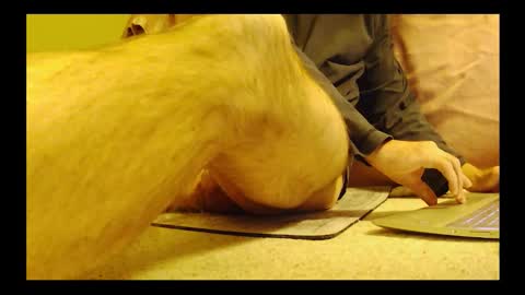 brode3 online show from January 6, 2026, 4:05 am