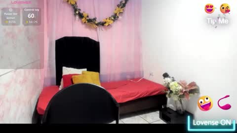 Snapshot of brunette_sasha chatting on February 9, 2026, 11:14 am Sasha Brunette online show from February 9, 2026, 11:14 am