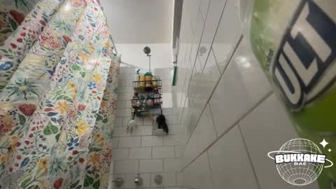 Snapshot of bukkakebae chatting on September 11, 2025, 8:20 pm bukkakebae online show from September 11, 2025, 8:20 pm