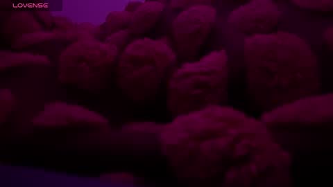 Snapshot of bukkakebae chatting on November 15, 2025, 12:30 am bukkakebae online show from November 15, 2025, 12:30 am