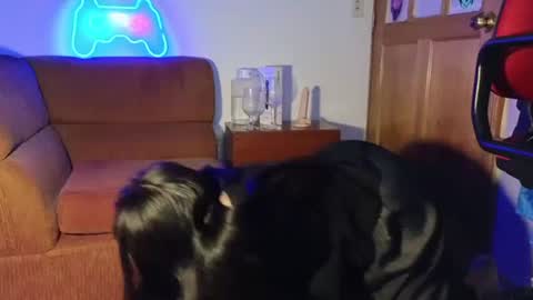 Snapshot of caroll_luna chatting on December 7, 2024, 5:15 am kitty online show from December 7, 2024, 5:15 am