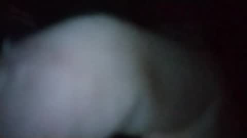 Snapshot of cedricstjacques0 chatting on February 13, 2026, 2:07 am Outdoor Guy online show from February 13, 2026, 2:07 am