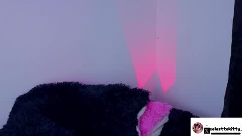 Snapshot of celestte_evans_1 chatting on February 8, 2026, 6:17 am celestte_evans_1 online show from February 8, 2026, 6:17 am