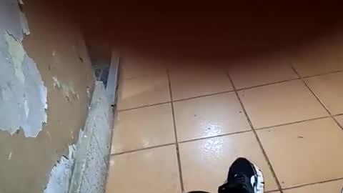 chancherman online show from January 10, 2026, 4:25 am