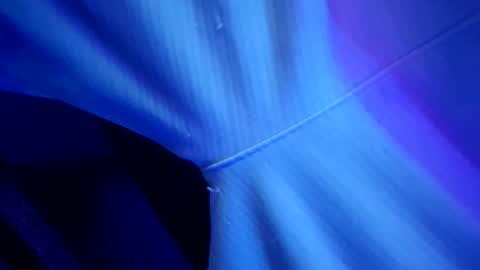 chronicvibez online show from March 1, 2026, 12:56 am