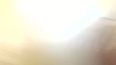 citybooy990 online show from December 19, 2025, 11:34 pm