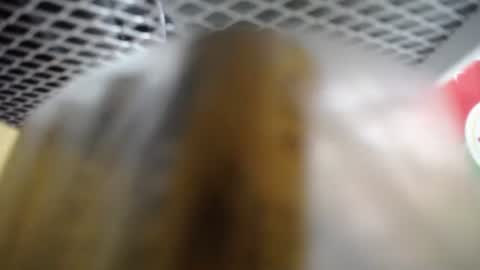 487699 online show from November 27, 2025, 3:08 am