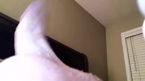 Snapshot of cranada777 chatting on December 31, 2024, 1:04 am Cranada777 online show from December 31, 2024, 1:04 am