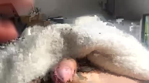 cumonmyf33t online show from February 22, 2025, 12:19 pm