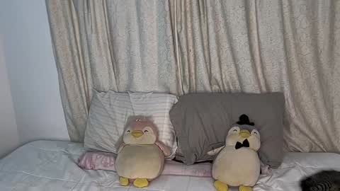 Snapshot of curls_emma chatting on January 11, 2025, 11:24 pm Emma online show from January 11, 2025, 11:24 pm