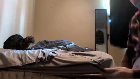 da_man411212 online show from February 19, 2026, 10:06 pm