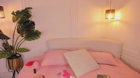 dafne_hillss online show from February 12, 2026, 11:38 am