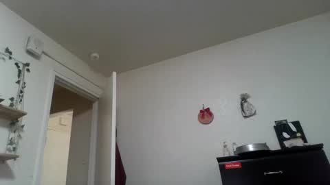 Snapshot of dani_alaska chatting on February 24, 2025, 1:53 pm Dani online show from February 24, 2025, 1:53 pm