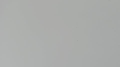 Snapshot of daniel_kingxxx chatting on March 2, 2026, 12:34 pm daniel_kingxxx online show from March 2, 2026, 12:34 pm