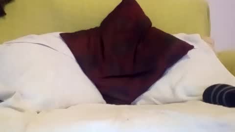 Snapshot of daniroca8 chatting on February 17, 2026, 6:36 pm daniroca8 online show from February 17, 2026, 6:36 pm