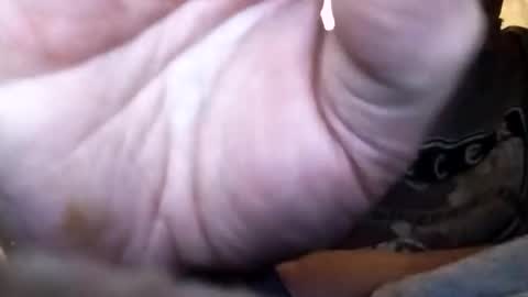 dannowisc online show from February 1, 2026, 12:37 pm