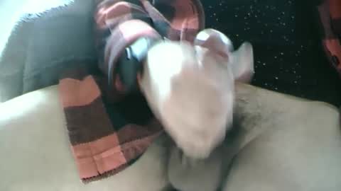 Snapshot of dartrok chatting on February 17, 2025, 12:59 pm Dartrok online show from February 17, 2025, 12:59 pm