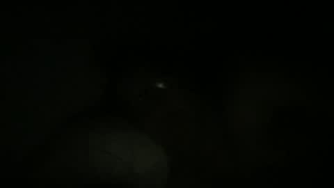 Snapshot of dbdude71 chatting on January 25, 2025, 12:37 pm dbdude71 online show from January 25, 2025, 12:37 pm