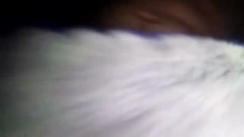 Snapshot of duvanarleyy chatting on October 16, 2025, 6:36 am duvanarleyy online show from October 16, 2025, 6:36 am