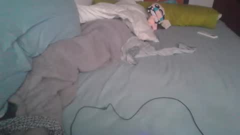 Snapshot of dv3nd3 chatting on January 7, 2026, 12:18 pm dv3nd3 online show from January 7, 2026, 12:18 pm